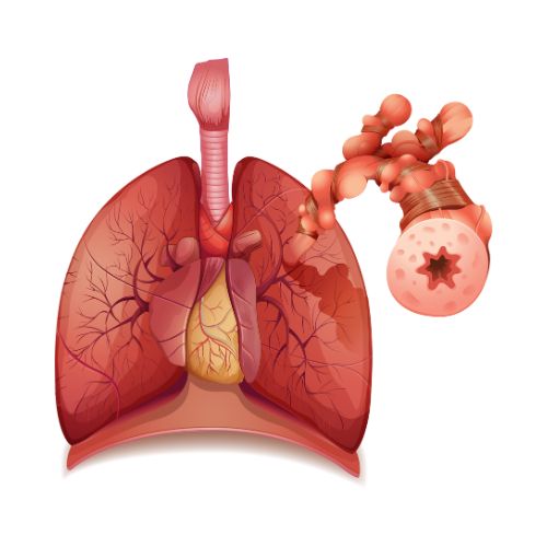 untitled design (19)