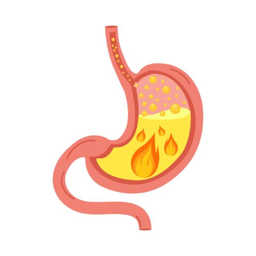 untitled design (22)