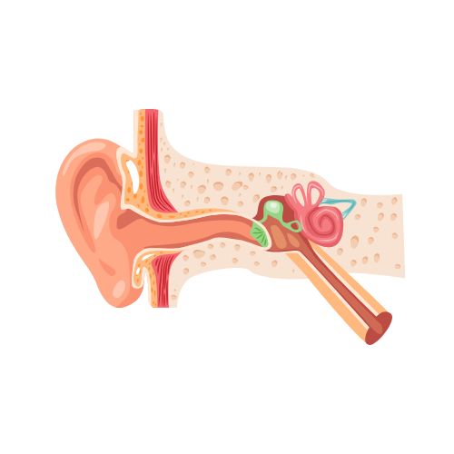 untitled design (25)